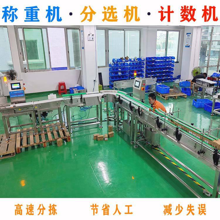 袋装化肥自动称重机分选机定制在线复检秤重量检测机动态秤