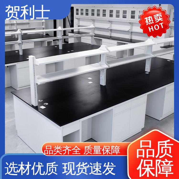 贺利士 经久耐用 品质卓越 检测机构专用 坚固实用 全钢实验室边台