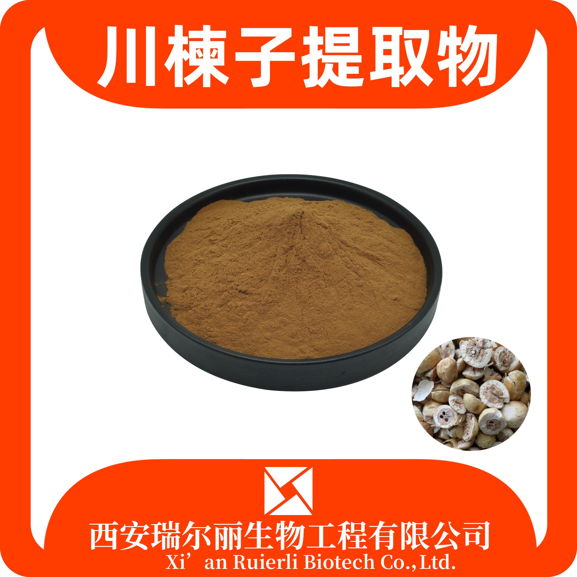 川楝子提取物 水溶 川楝子粉 金铃子粉 浓缩粉 瑞尔丽深恶 源头厂家