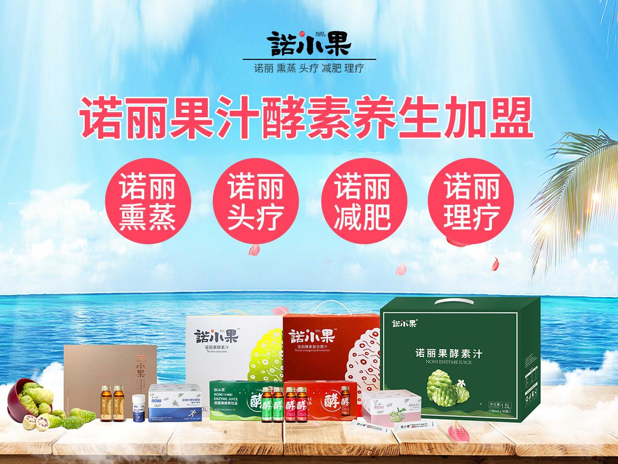 诺小果诺丽果汁酵素