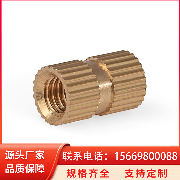 塑胶专用嵌件盲孔 特定紧固件 持久耐用 耐磨抗氧 泳江