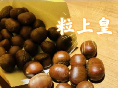 栗上皇板栗