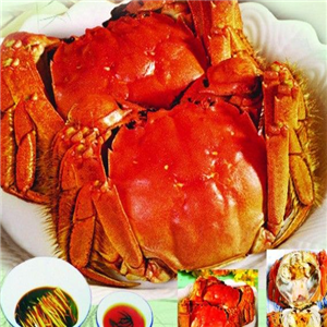 蟹之霸大闸蟹