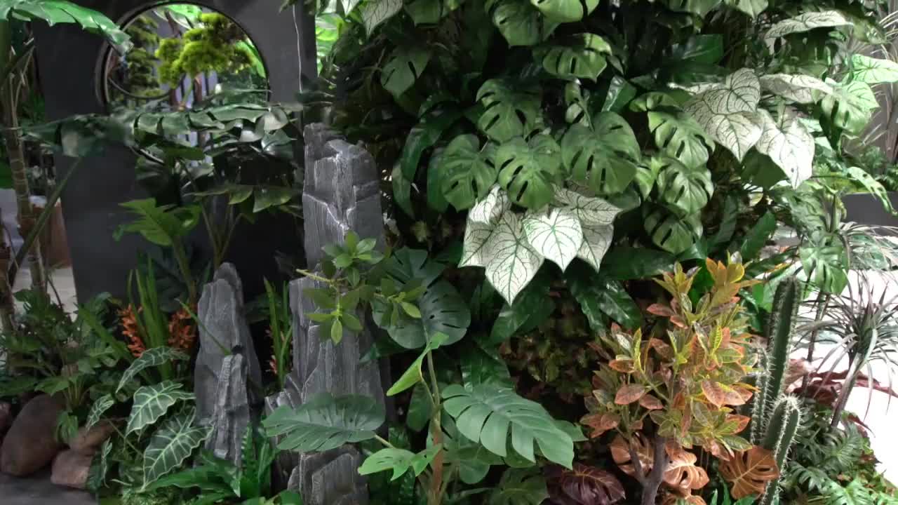 视频