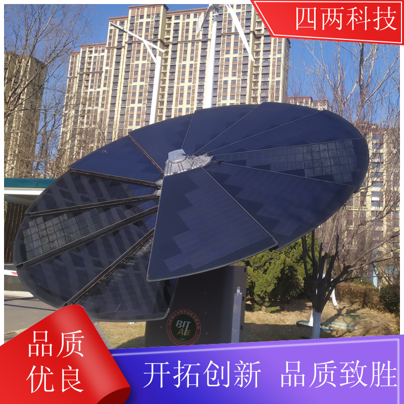 四两 别墅 新能源发电花 识别天气 现货直发 公司