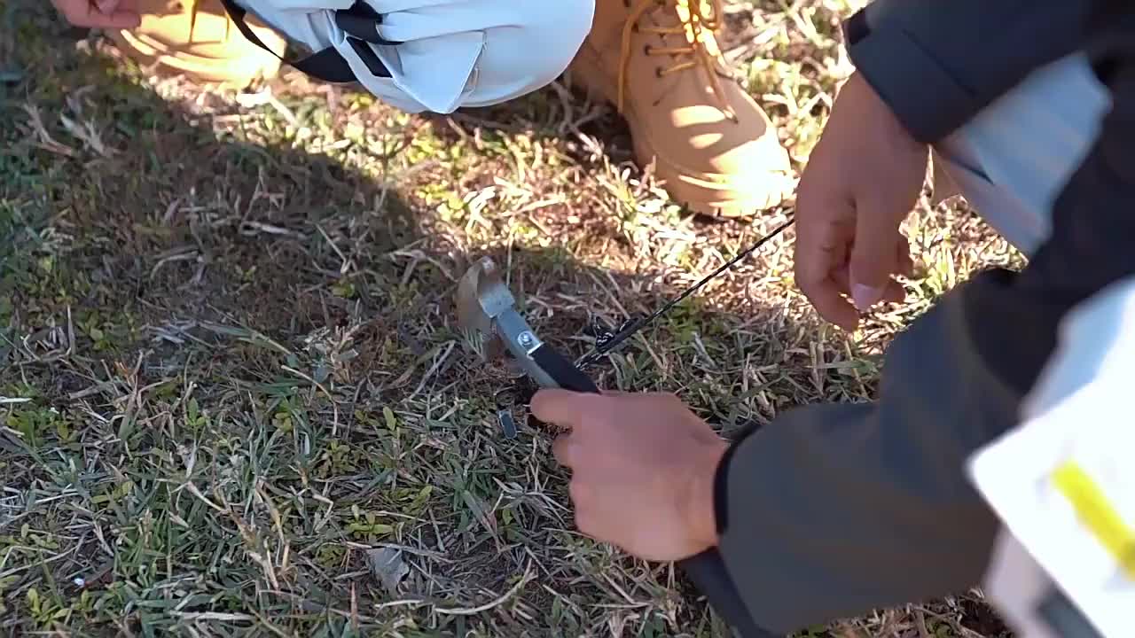 视频