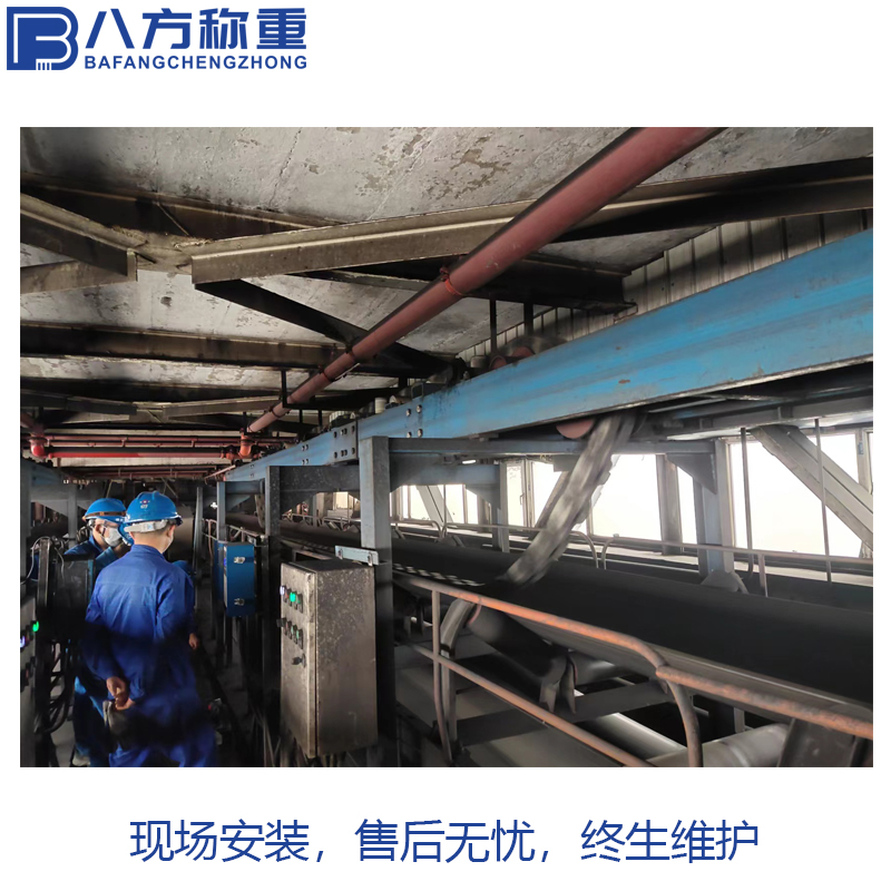 八方称重 不锈钢循环链码校验装置生产厂家 皮带计量秤标定砝码