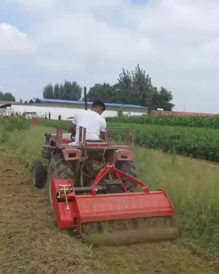 视频