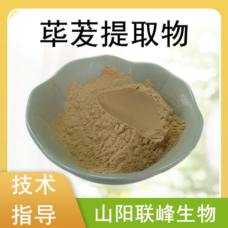 荜茇提取物 10：1水溶浓缩粉 喷雾干燥 固体饮料原料 1公斤起订