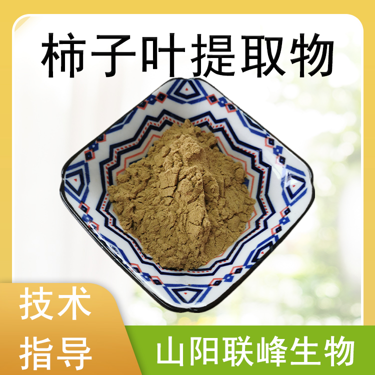 柿子叶提取物 10：1水溶浓缩粉 柿子叶粉 萃取原料 支持定制