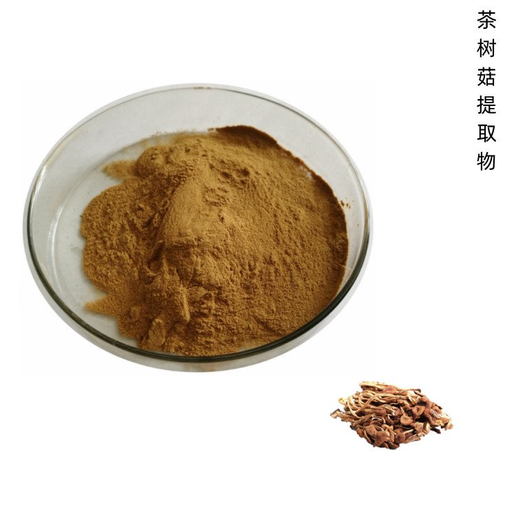 茶树菇提取物 100目粉末 水溶性好 货源稳定 1公斤起订