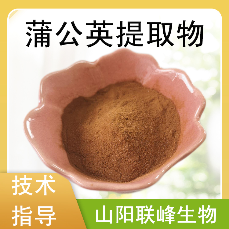 蒲公英提取物 10:1浓缩粉 蒲公英粉 蒲公英黄酮 植物萃取 SC工厂