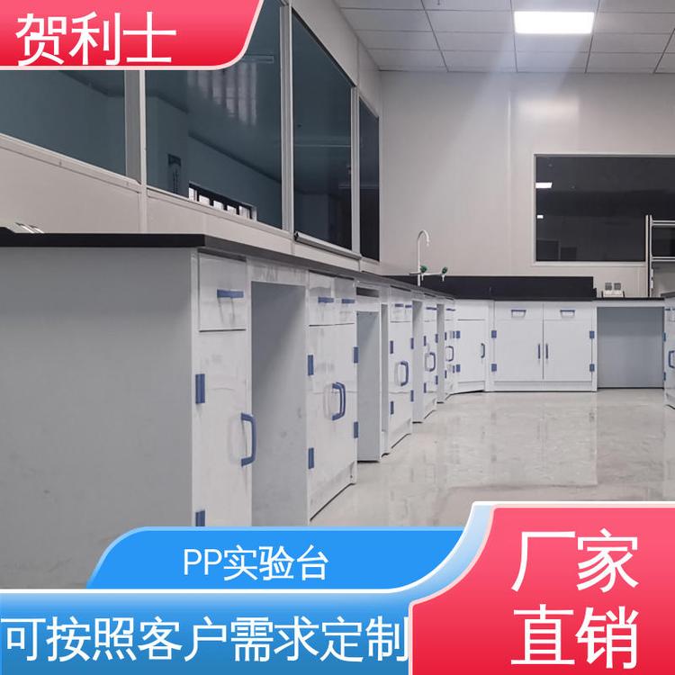 按需定制加工 耐酸碱实验边台 科研机构用 PP实验台 贺利士