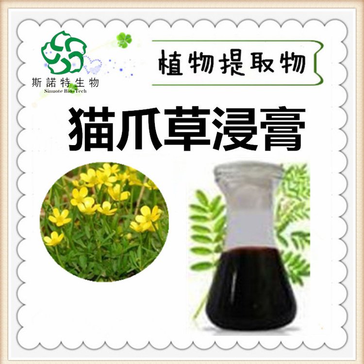 猫爪草浸膏 水溶性好 无沉淀 植物浓缩萃取 斯诺特生物