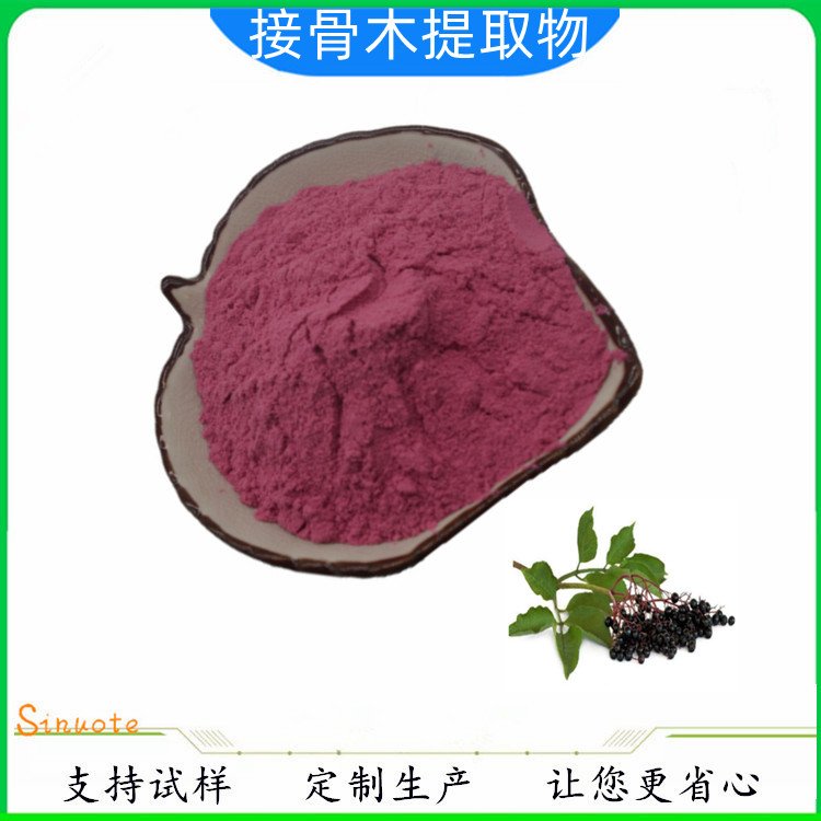 斯诺特接骨木莓粉 紫红色精细粉末 喷雾干燥 24月有效期