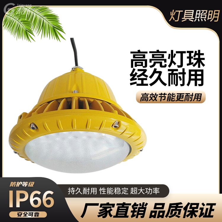 KHD130防爆防粉尘节能灯 防腐吸顶工矿灯 加油站防爆灯80W