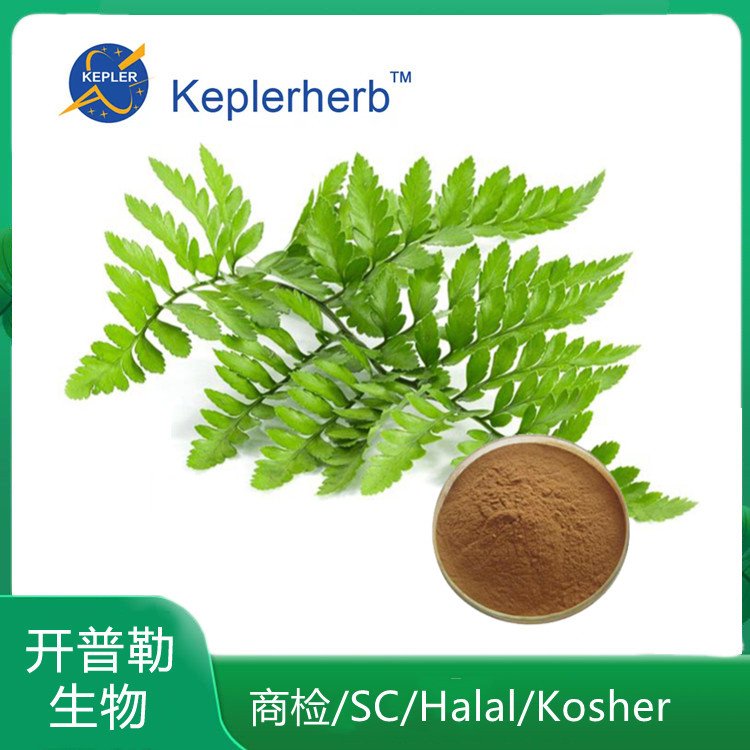 水龙骨提取物 水溶 水龙骨粉 浓缩粉 青石莲提取物 保健食品工厂