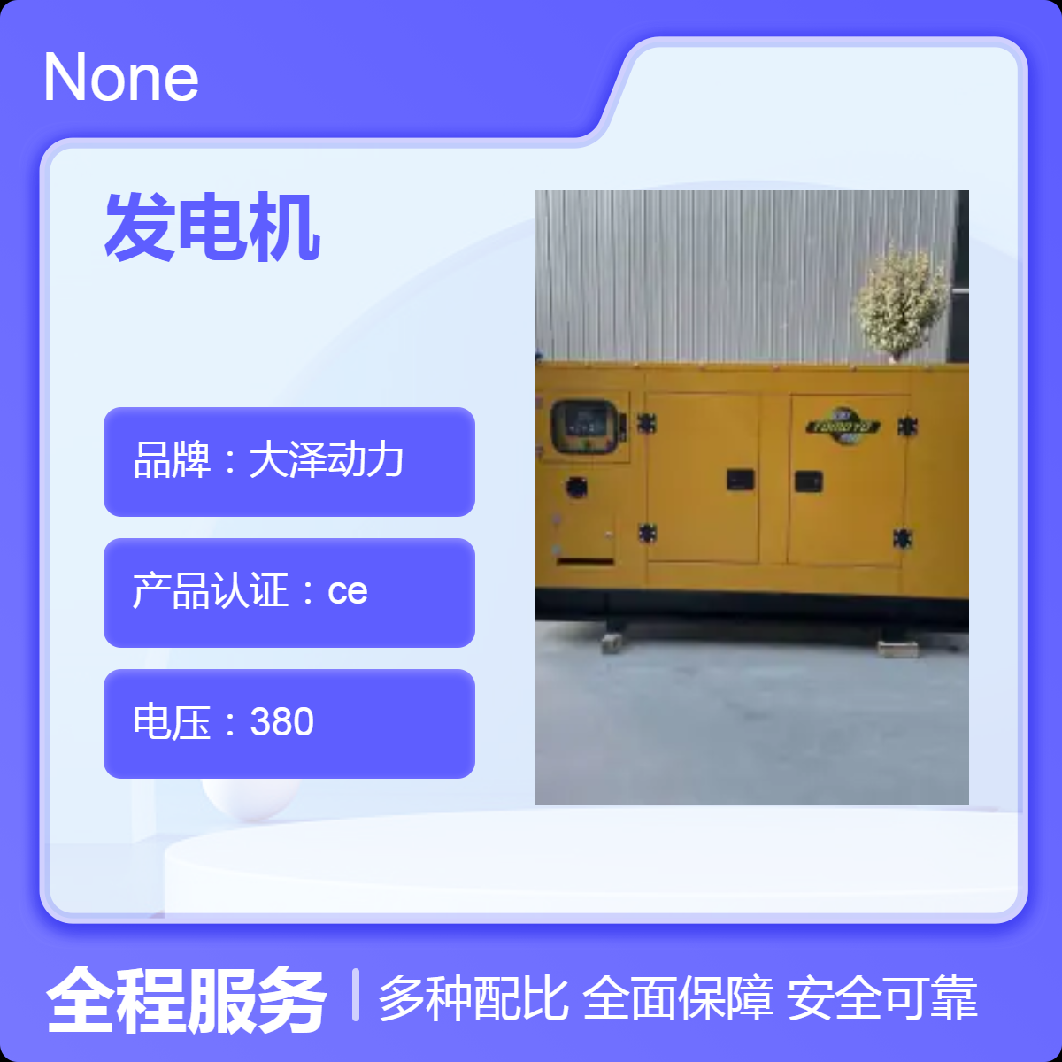 ​大泽动力TO220000ETLZ 静音箱式 高原用 200千瓦柴油发电机 发货