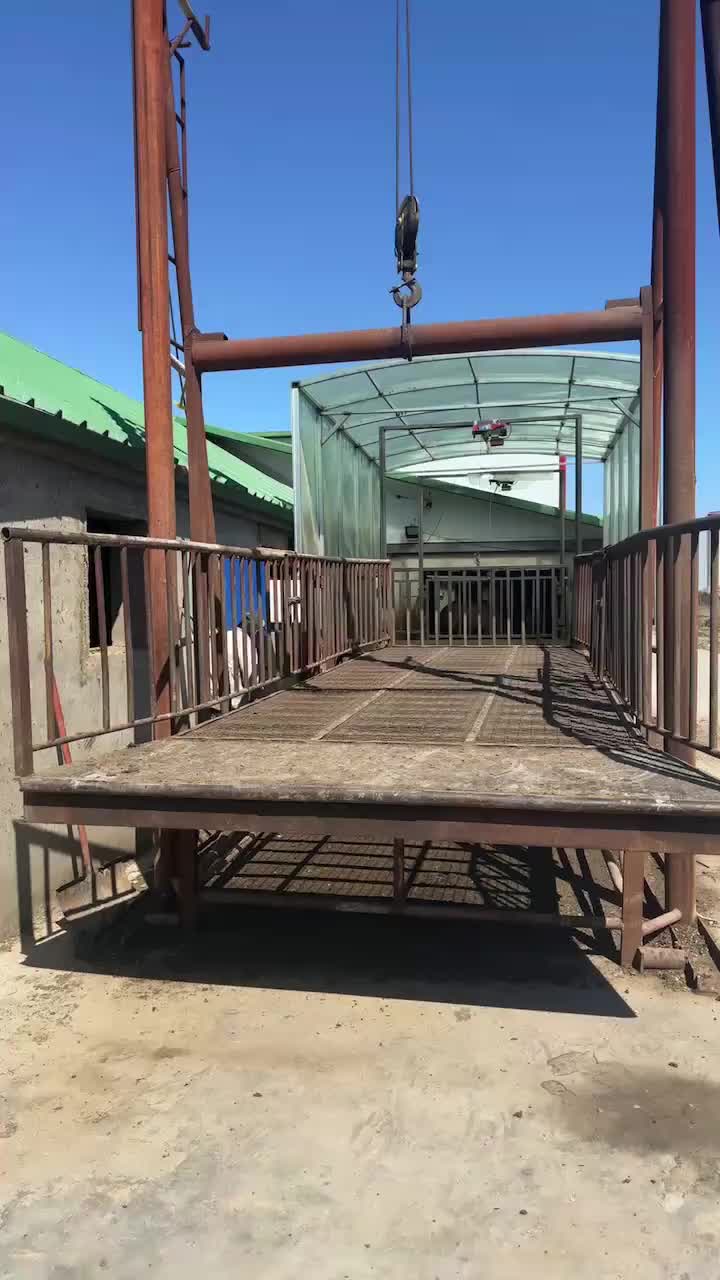 视频