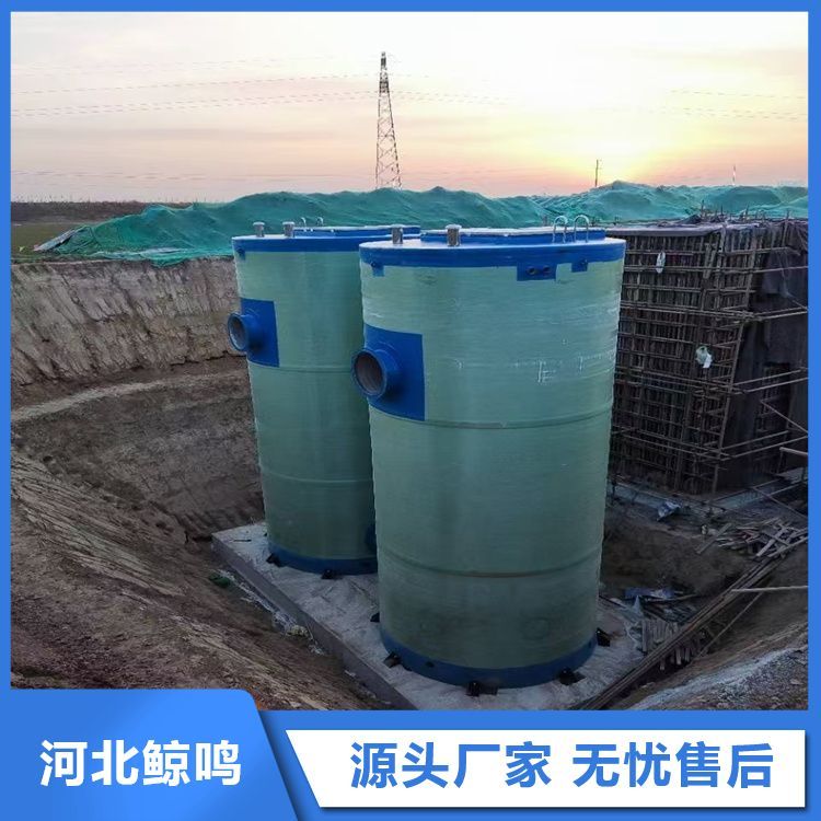雨水污水集成智能远程控制一体化泵站 密封性好 实体厂家