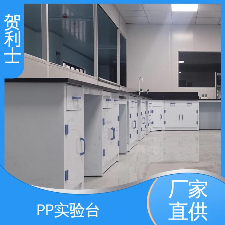 PP化学实验台 按需定制 食品药品生产研发 pp研发室工作台 贺利士
