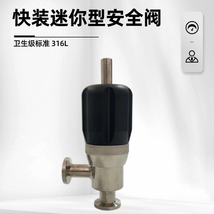 DN10快装卫生级迷你型安全阀316L食品级不锈钢排气阀生产厂家