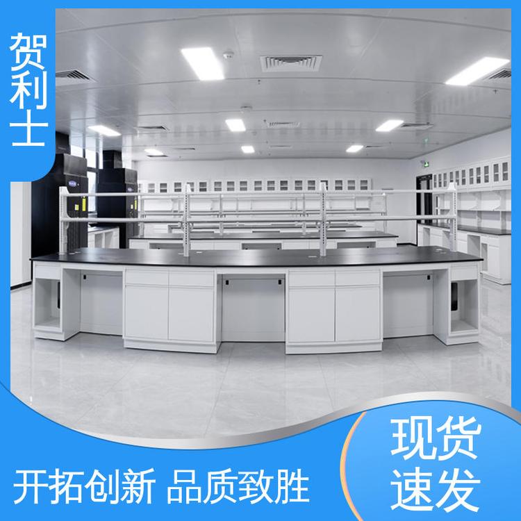 建设用 耐腐蚀 坚实耐用 匠心打造 全钢中央实验台 贺利士