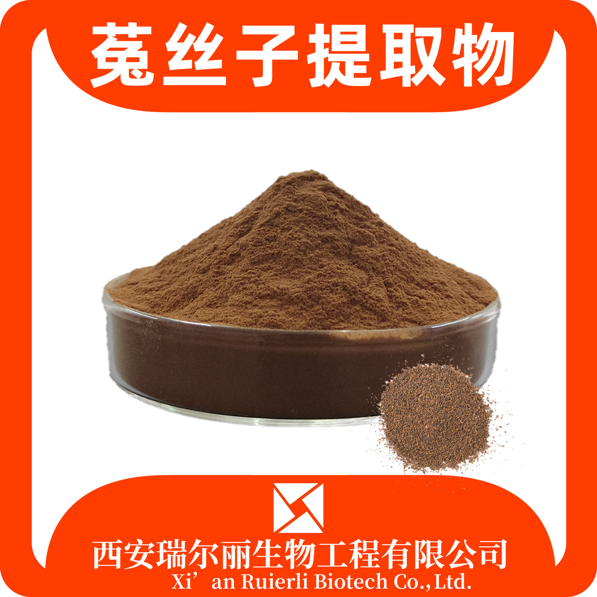菟丝子提取物10：1菟丝子粉 速溶浓缩 菟丝子浸膏 可定制 源头工厂