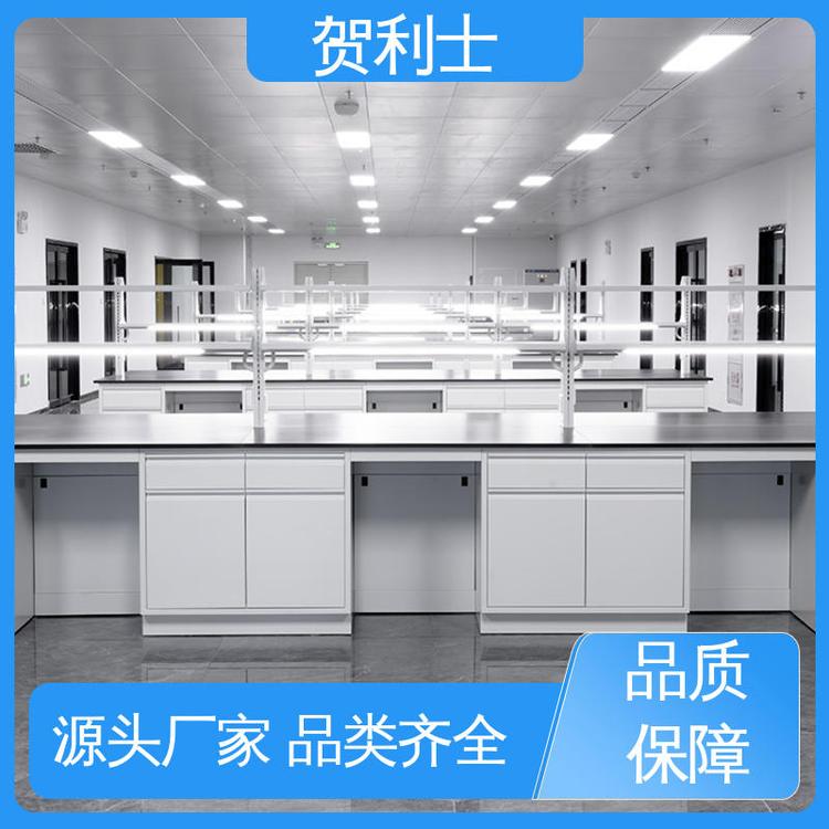 贺利士 坚固实用 一站式工程 全钢中央实验台 匠心优选 多年经验