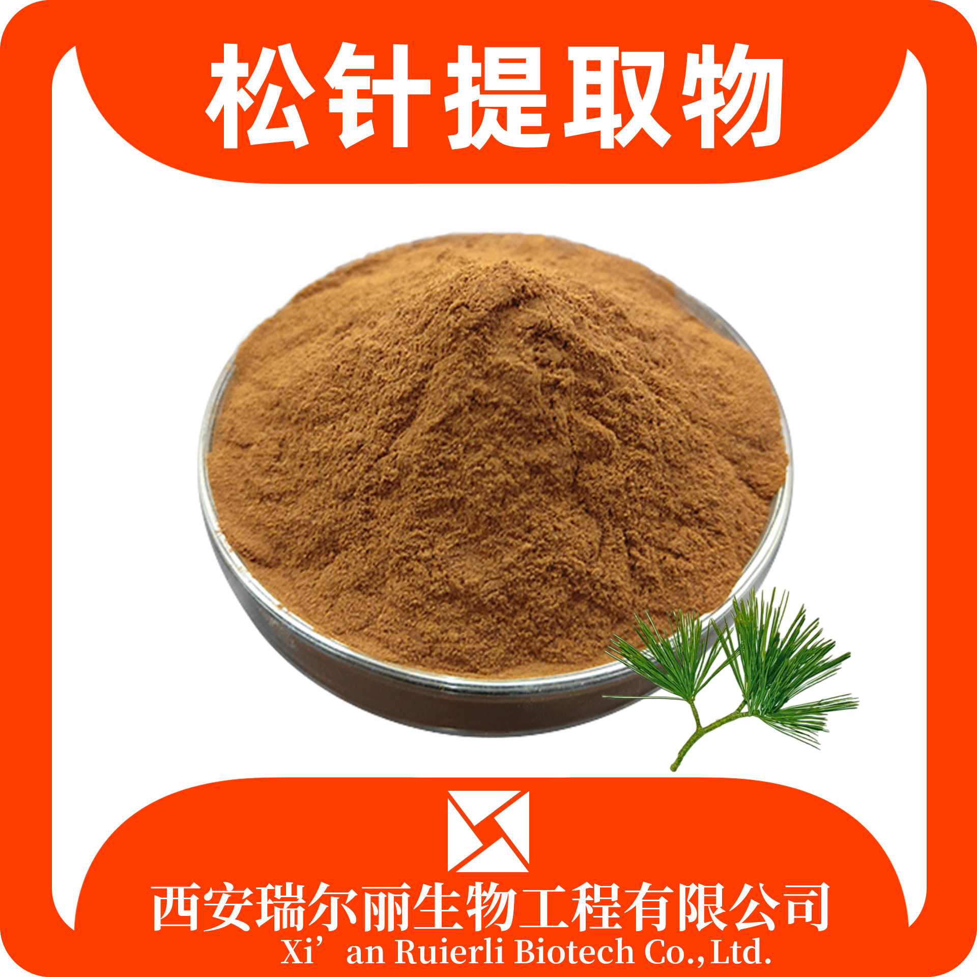 松针提取物10：1 松针粉 松针浸膏 速溶可定制 瑞尔丽生物 源头厂家
