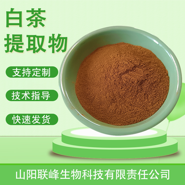 白茶提取物 水溶萃取浓缩粉 浸膏喷雾干燥 支持多规格