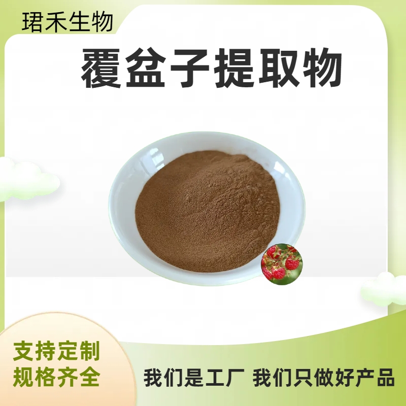 覆盆子提取物 覆盆子酮98% 果粉果蔬粉 多糖 浸膏