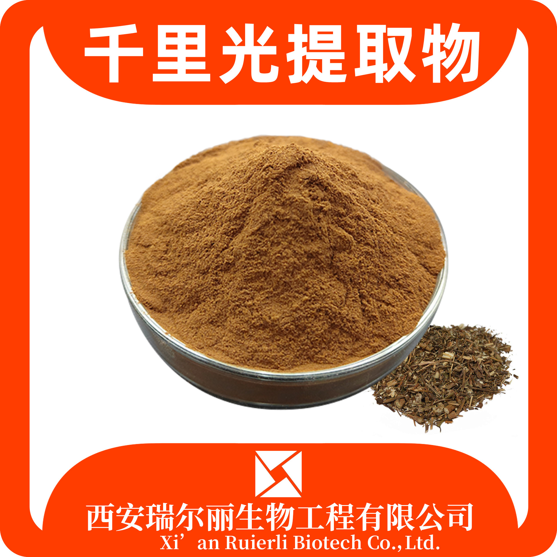 千里光提取物10：1千里光粉 九里明 九里光 瑞尔丽生物