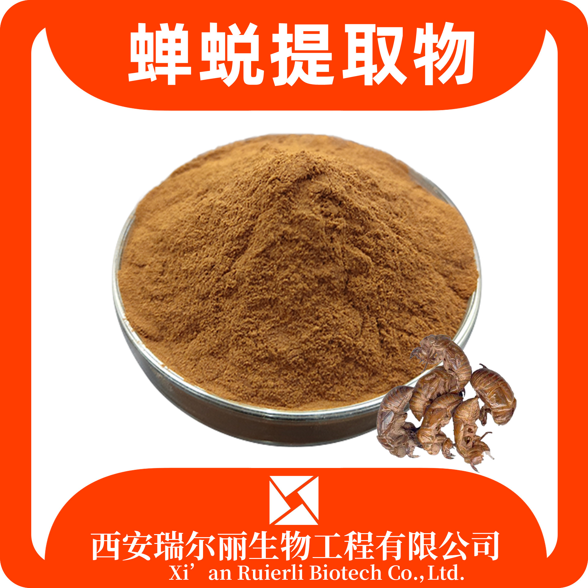 蝉蜕提取物10：1蝉蜕粉 蝉衣粉 速溶蝉壳浸膏 瑞尔丽生物