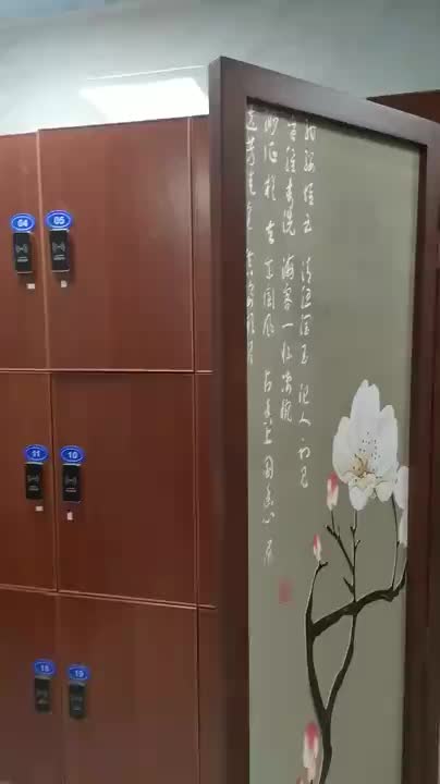 视频