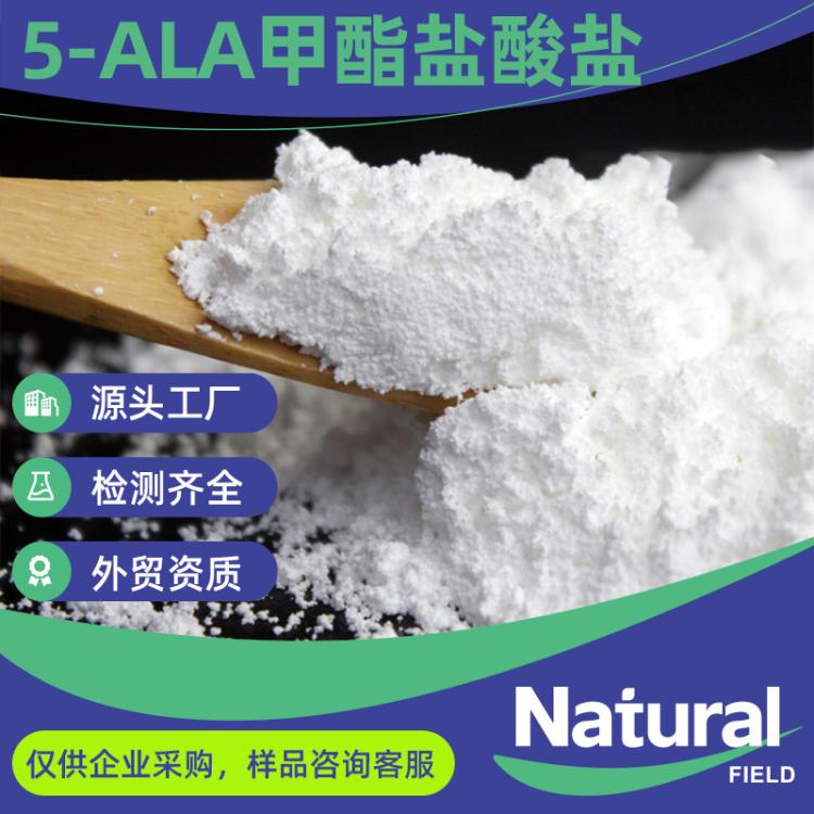 5-氨基乙酰丙酸甲酯盐酸盐现货5-ALA甲酯99% CAS79416-27-6