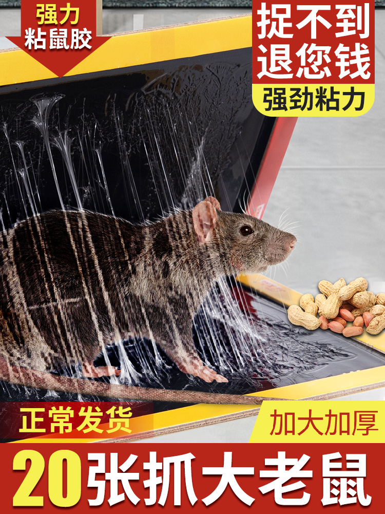 老鼠粘强力粘鼠板捉粘大老鼠贴沾胶抓超强灭鼠家用捕鼠神器老鼠夹