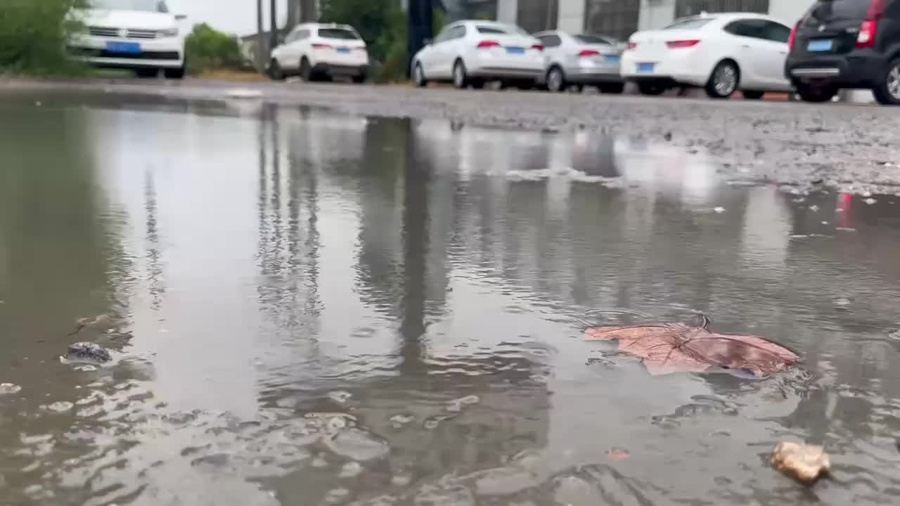视频