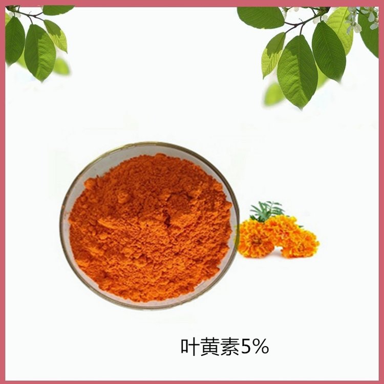 叶黄素5% 斯诺特 生产 万寿菊提取物 饲料原料粉