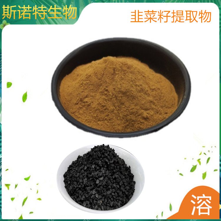 水溶性 韭菜籽提取物 种子浓缩粉 库存充足 1公斤起订