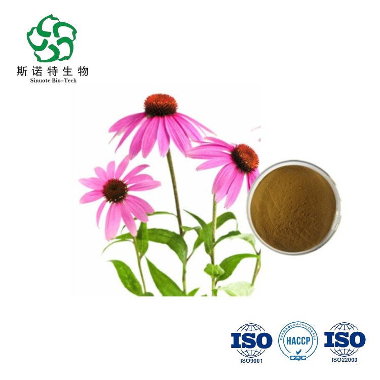紫锥菊提取物 比例规格 水提浓缩 4%多酚 精细粉末