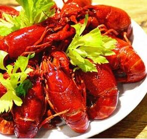 朱大龙虾