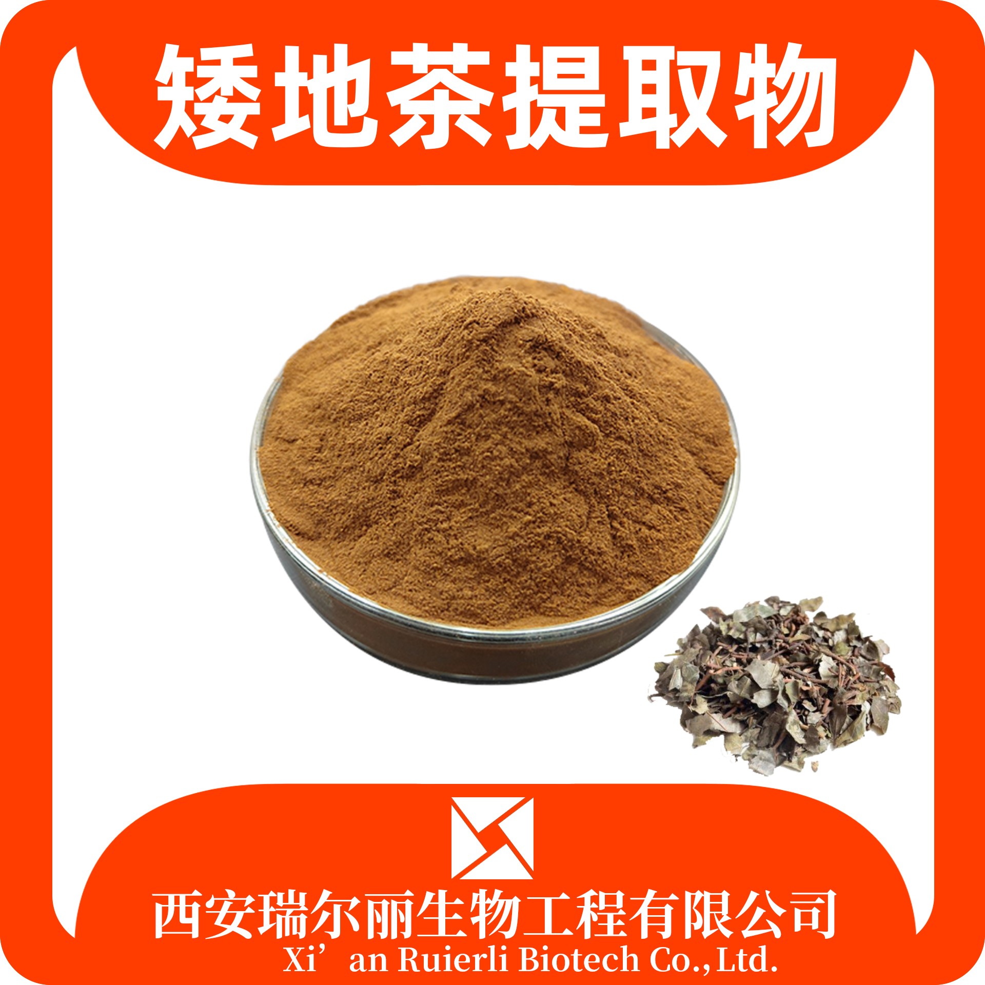 矮地茶提取物 矮地茶粉 速溶浓缩 SC证可定制 食品级原料 瑞尔丽生物