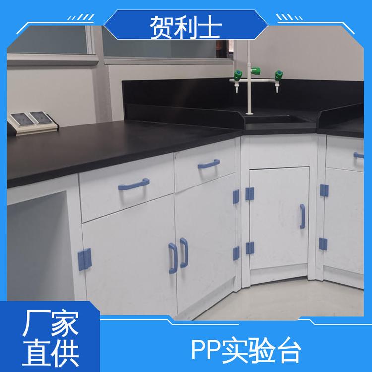 PP实验台柜 支持定制 适用有机实验室 研发室工作台 贺利士