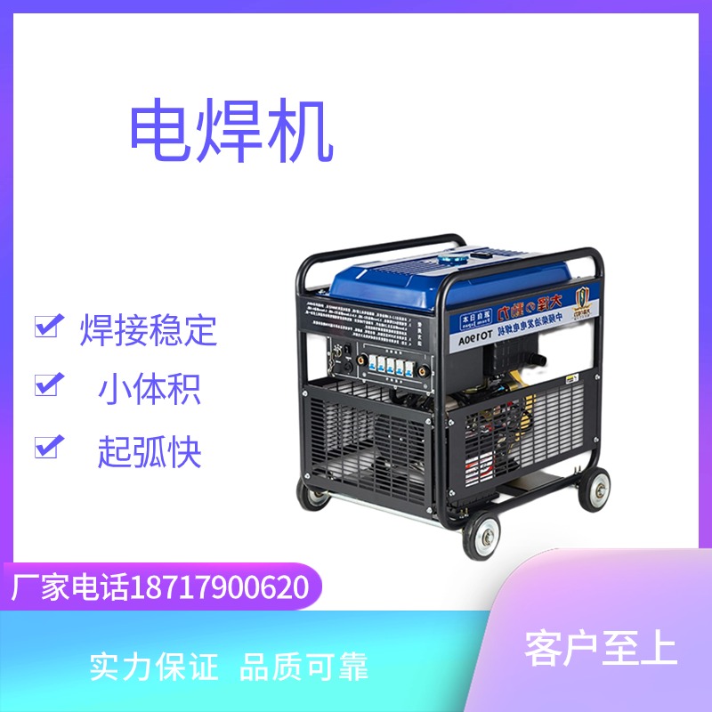 大泽动力欧鲍实业250A柴油发电电焊机 手弧焊氩弧焊to250a-z
