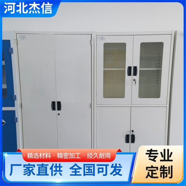 加工全钢试剂柜 酸碱柜药品危化品柜 按需定制 大量供应