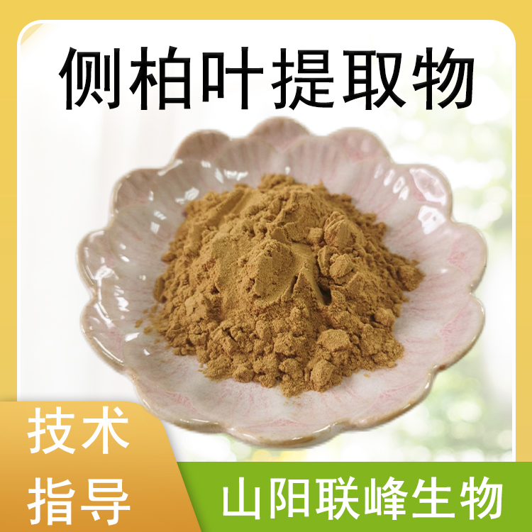 侧柏叶提取物 10：1侧柏叶浓缩浸膏粉 棕黄色粉末 1公斤/包 植物萃取