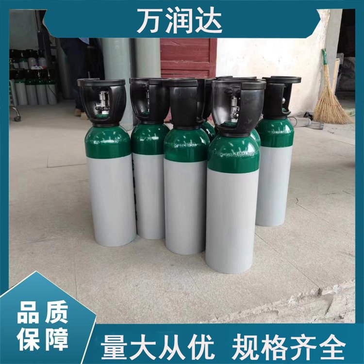 40升高纯标准气体生产 VOC标气 支持定制 种类丰富 万润达 g