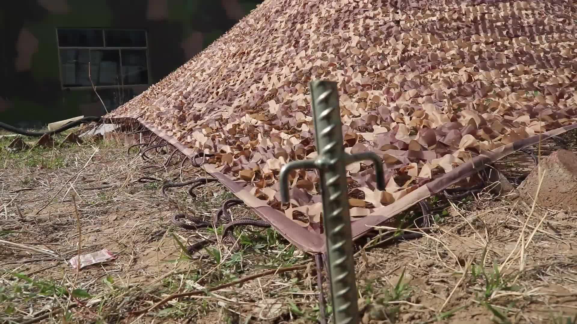 视频