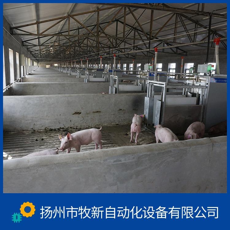 种猪测定站 厂家 种猪测定系统 牧新自动化 支持定制 个性化服务 有库存